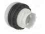 Eaton M22-LH-W Indicador Luminoso Blanco 216778