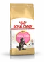 Royal Canin Pienso para Gatos Kitten Maine Coon 4 kg