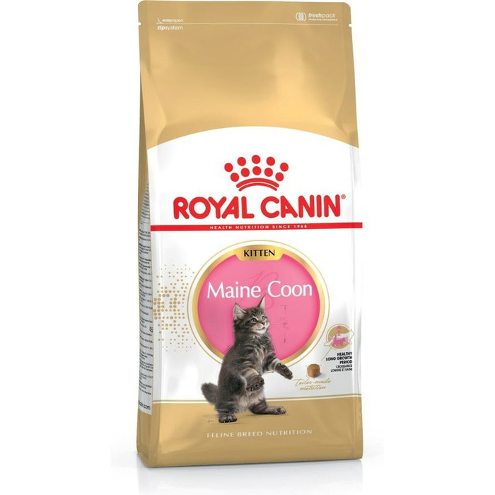 Royal Canin Pienso para Gatos Kitten Maine Coon 4 kg