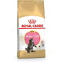 Royal Canin Pienso para Gatos Kitten Maine Coon 4 kg