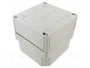SPELSBERG TK PC 1818-16-O Carcasa Universal Gris IP66