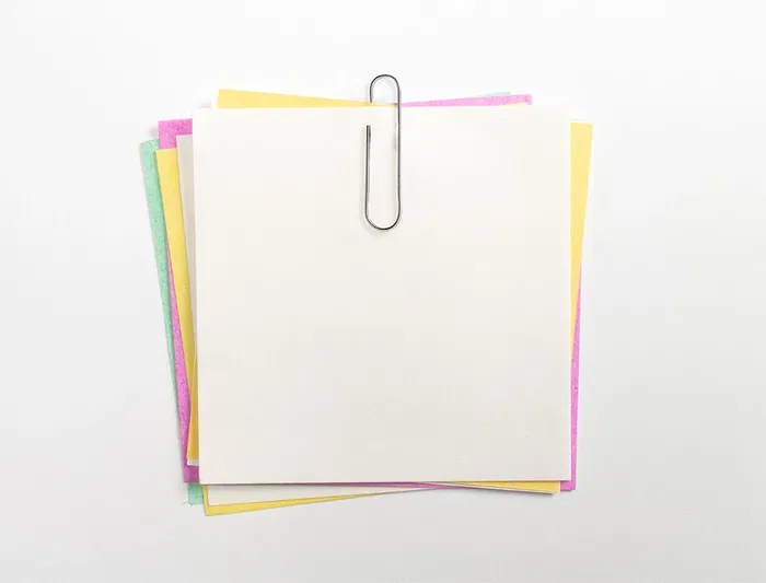 Liderpapel Clips nº3 labiados 43 mm Caja de 100 unidades