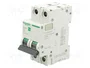 SCHNEIDER ELECTRIC Easy9 Pro EZ9F-B32-2 32A 2 Polos 6kA
