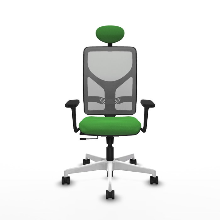 PIQUERAS Y CRESPO Silla de oficina Motilla con mecanismo Sincro/Traslack Verde y Gris PIQUERAS Y CRESPO Silla de oficina Motilla con mecanismo Sincro/Traslack Verde y Gris
