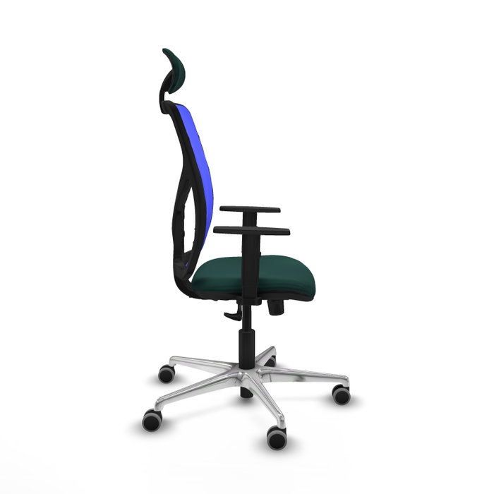 PIQUERAS Y CRESPO Silla de oficina Motilla con mecanismo Sincro, Verde botella y Azul