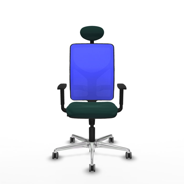 PIQUERAS Y CRESPO Silla de oficina Motilla con mecanismo Sincro, Verde botella y Azul