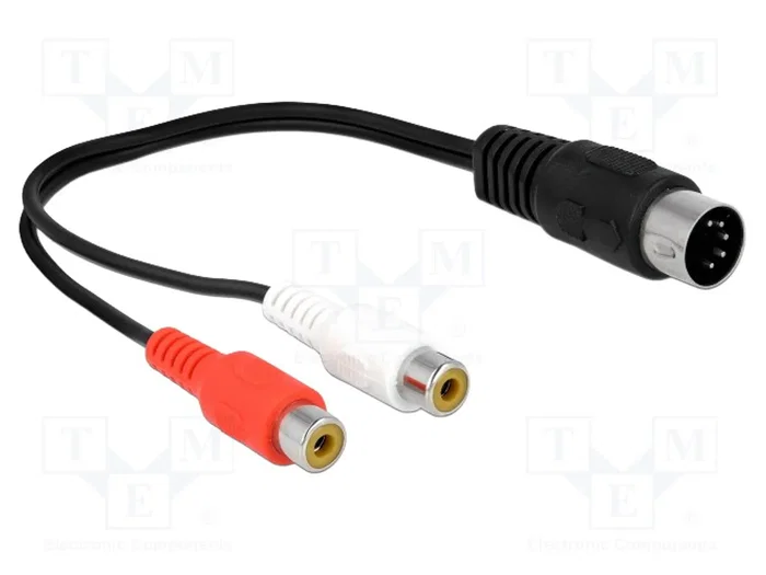 DeLOCK 85835 Cable de audio DIN de 5 pines a 2 RCA DeLOCK 85835 Cable de audio DIN de 5 pines a 2 RCA