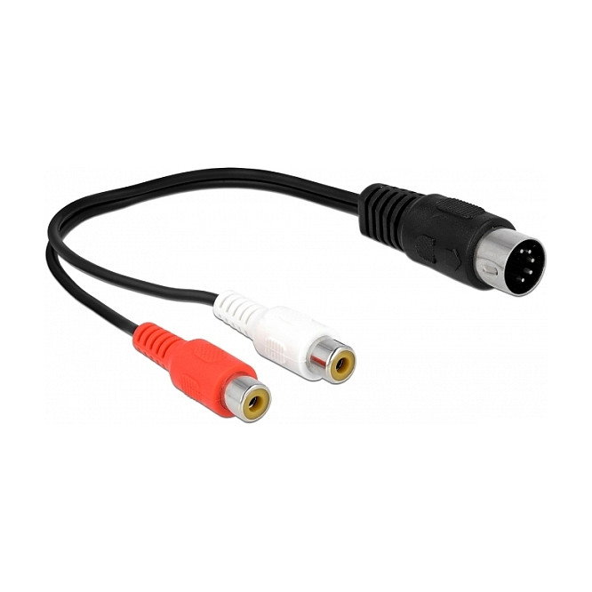 DeLOCK 85835 Cable de audio DIN de 5 pines a 2 RCA DeLOCK 85835 Cable de audio DIN de 5 pines a 2 RCA