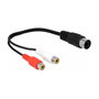 DeLOCK 85835 Cable de audio DIN de 5 pines a 2 RCA