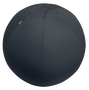 LEITZ Balón de Asiento Active Ergo Ø75cm Gris Oscuro