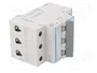 HAGER MBN306E Interruptor magnetotérmico 3 polos 6A 6kA