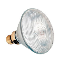 Philips Bombilla de Infrarrojos Blanca 175W