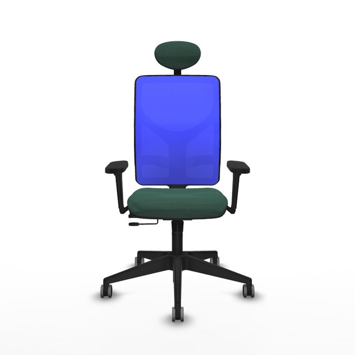 PIQUERAS Y CRESPO Silla de oficina Motilla con mecanismo Sincro/Traslack, Verde botella y Azul
