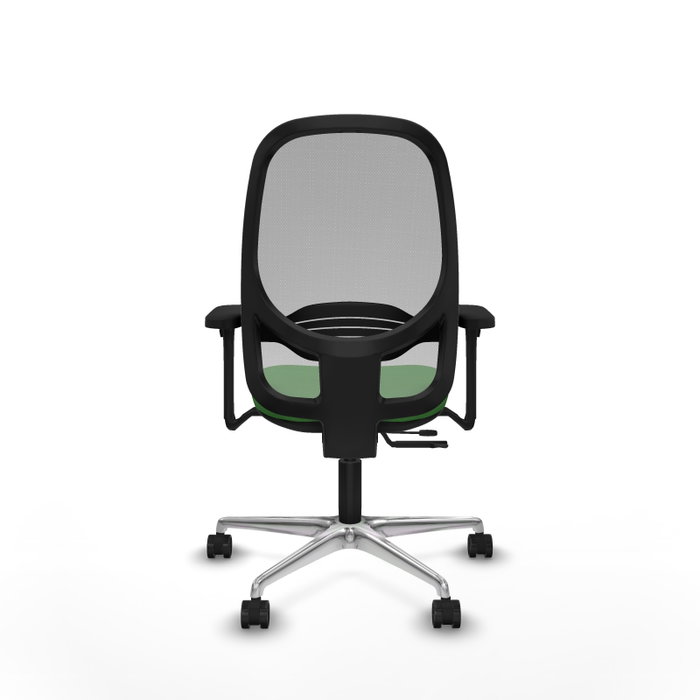 PIQUERAS Y CRESPO Silla de oficina Cilanco con mecanismo Sincro/Traslack, Verde y Gris PIQUERAS Y CRESPO Silla de oficina Cilanco con mecanismo Sincro/Traslack, Verde y Gris