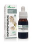 SORIA NATURAL Extracto Rompepiedras XXI 50ml