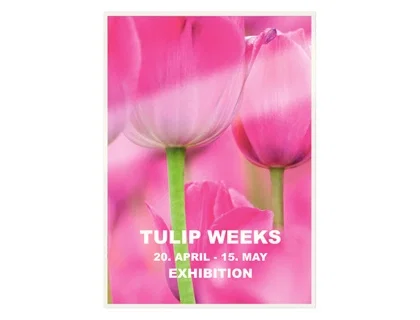 Funda Plastificar Leitz 310X460 (A3) 125Μ Paquete De 100