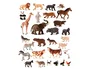 Miniland Contenedor de 30 Figuras de Animales de la Granja y Salvajes con Guía Didáctica