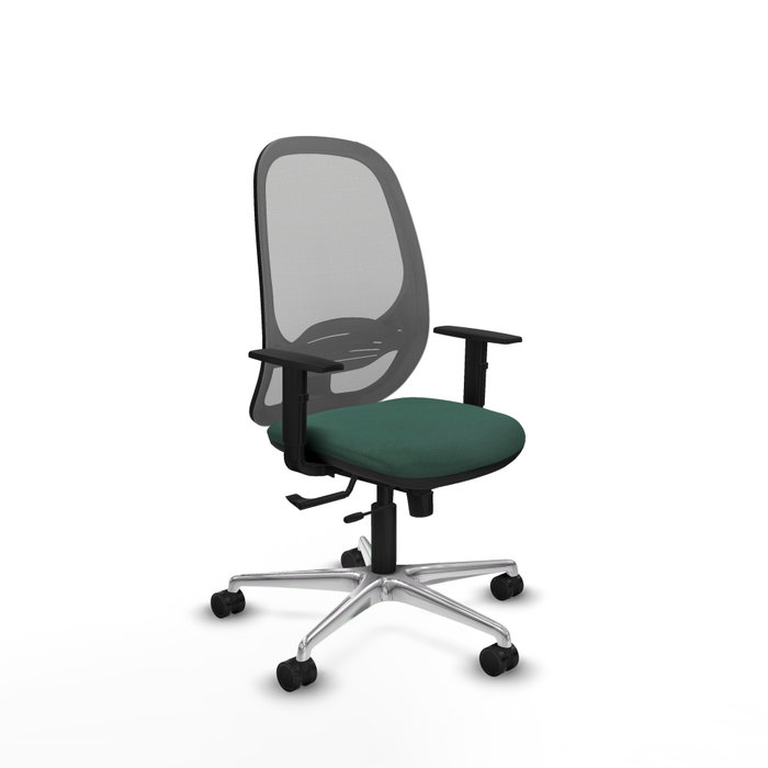 PIQUERAS Y CRESPO Silla de oficina Cilanco con mecanismo Sincro/Traslack, Verde botella y Gris PIQUERAS Y CRESPO Silla de oficina Cilanco con mecanismo Sincro/Traslack, Verde botella y Gris
