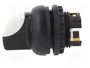 EATON ELECTRIC Interruptor Rotativo RMQ-Titan 22mm Blanco-Negro