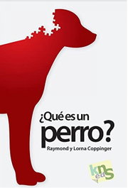 ¿que es un perro?, AA.VV. - KNS EDICIONES