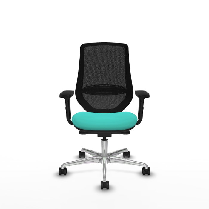PIQUERAS Y CRESPO Silla de oficina Mardos con mecanismo Sincro/Traslack, Turquesa y Negro PIQUERAS Y CRESPO Silla de oficina Mardos con mecanismo Sincro/Traslack, Turquesa y Negro