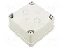 LEGRAND Carcasa Universal Gris IP55 IK07 116x116x60mm