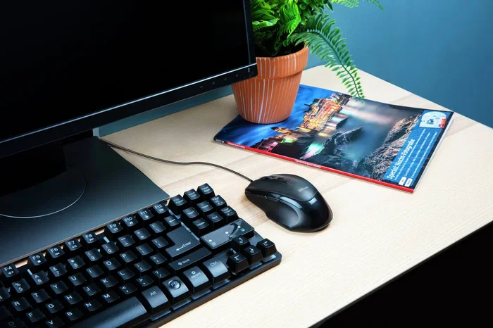 Trust Voca Comfort - Ratón para Oficina/Gaming, 2400 DPI, 6 Botones, Cable USB 1.6m, Óptico, Ergonómico para Diestro, Plug & Play