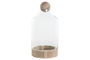 DKD Home Decor Jarrón Transparente Natural Cristal Madera 21 x 42 x 21 cm
