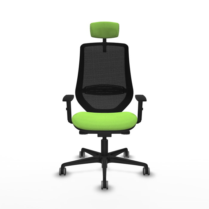 PIQUERAS Y CRESPO Silla de oficina Mardos con mecanismo Sincro/Traslack, Pistacho y Negro PIQUERAS Y CRESPO Silla de oficina Mardos con mecanismo Sincro/Traslack, Pistacho y Negro