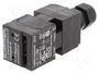 SCHMERSAL AZ 17 Interruptor de seguridad a llave NC + NA