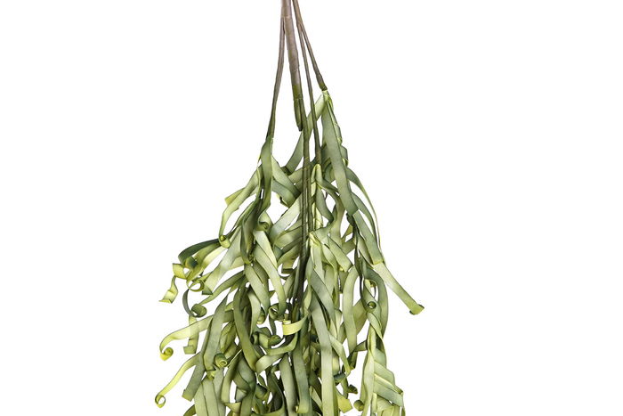 DKD Home Decor Rama 20 x 146 x 20 cm Amarillo Verde (6 Unidades)