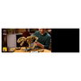 LEGO Jurassic World Fósiles de Dinosaurio: Tyrannosaurus rex