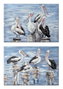 DKD Home Decor Cuadro Lienzo MDF 100x3x70 Pelicanos (Surtido de 2)