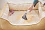 Tineco iCarpet Spot