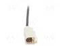 4CARMEDIA Antena de techo para automóviles con amplificador