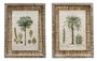 DKD Home Decor Cuadros Abeto Ratán 30x2,5x40 Palmera Surtido de 2