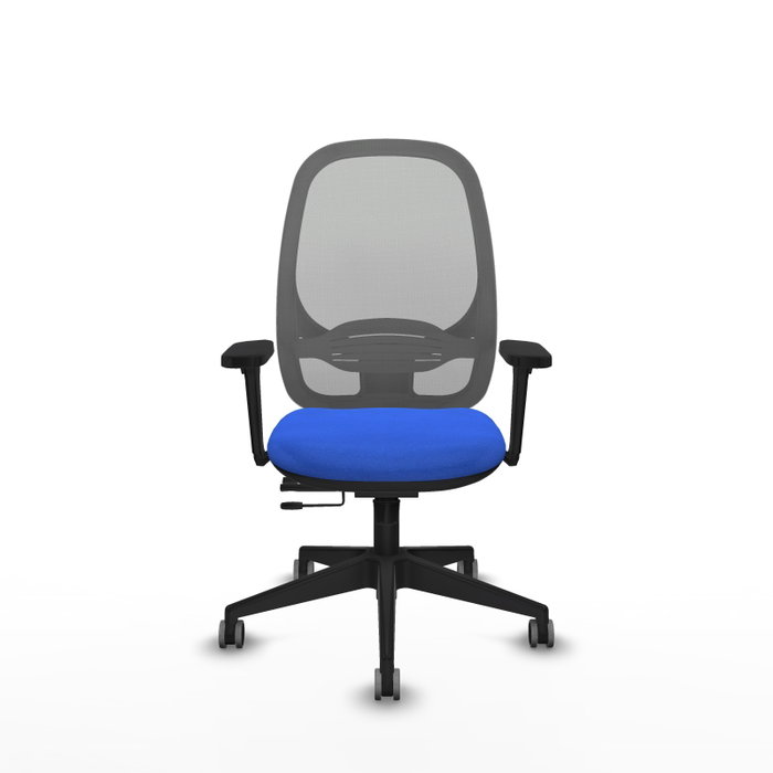 PIQUERAS Y CRESPO Silla de oficina Cilanco con mecanismo Sincro/Traslack Azul y Gris PIQUERAS Y CRESPO Silla de oficina Cilanco con mecanismo Sincro/Traslack Azul y Gris
