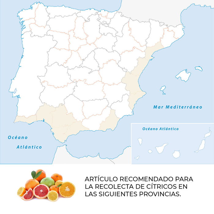 Tijera para la recolección de cítricos ticim15-di manzana nules