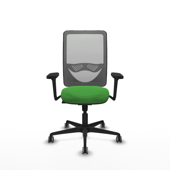 PIQUERAS Y CRESPO Silla de oficina Zulema con mecanismo Sincro, Verde y Gris PIQUERAS Y CRESPO Silla de oficina Zulema con mecanismo Sincro, Verde y Gris