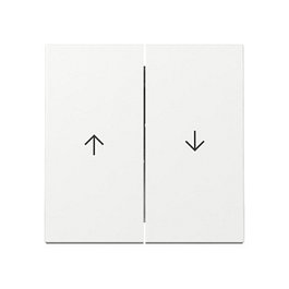 GIRA 329403 Wippe 2f Pfeil System 55 Reinweiß Blanco