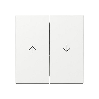 GIRA 329403 Wippe 2f Pfeil System 55 Reinweiß Blanco GIRA 329403 Wippe 2f Pfeil System 55 Reinweiß Blanco