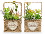 Ibergarden Maceta Asa Surtidos 12 cm x 21 cm x 10 cm (Set de 12)
