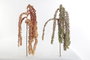 DKD Home Decor Ramas EVA Surtido de 2 Colores Rosa y Verde, 60 Piezas