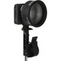 Amaran Mini-Fresnel para Ray 60c y 120c