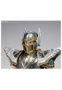 TAMASHII NATIONS Figura Pegasus Seiya Saint Cloth Myth Ex 17cm