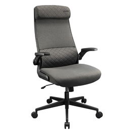 COUGAR Silla Gaming/Oficina Stryder, Tela, Gris, Reposabrazos Ajustable, Almohada Lumbar, Respaldo Ajustable, Función Basculante, Peso Máx. 120 kg