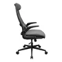 Cougar CGR-STD-GRB Silla Gaming/Office Gris y Negro en Tela