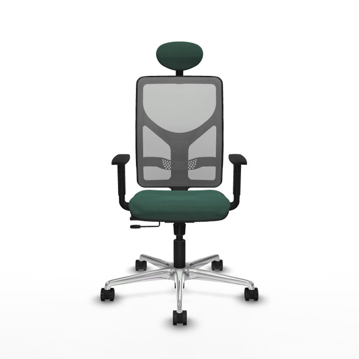 PIQUERAS Y CRESPO Silla de oficina Motilla con mecanismo Sincro/Traslack Verde botella y Gris PIQUERAS Y CRESPO Silla de oficina Motilla con mecanismo Sincro/Traslack Verde botella y Gris