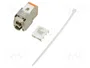 GOOBAY Módulo RJ45 Keystone Cat 6a de plata