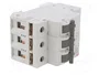 ETI POLAM Interruptor magnetotérmico ETIMAT 6 3P C10 10A 6kA